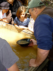 Panning for Gold