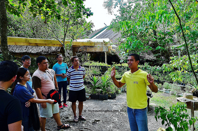 Bohol Bee Farm