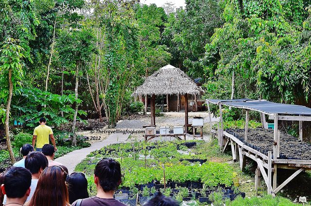Bohol Bee Farm
