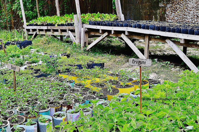 Organic Farming