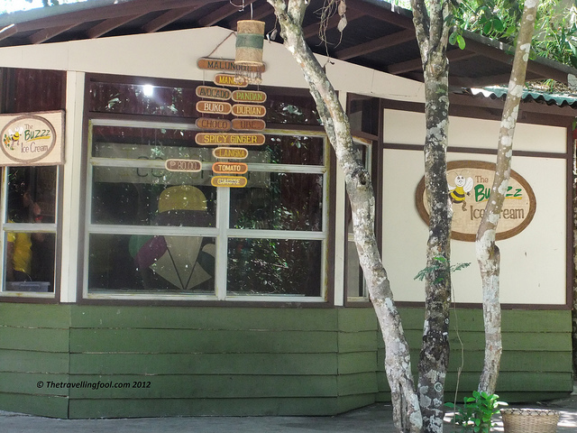 Bohol bee Farm
