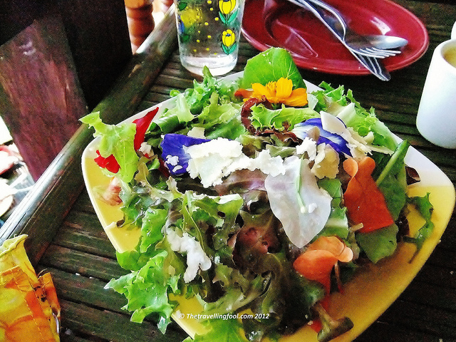 Organic Salad