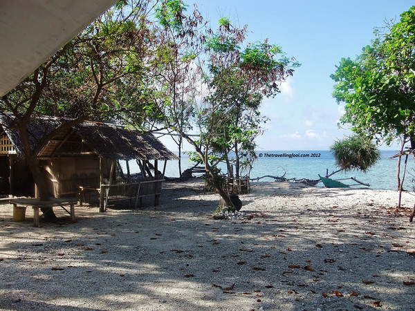 Tropical-Beach-Bohol-Philippines