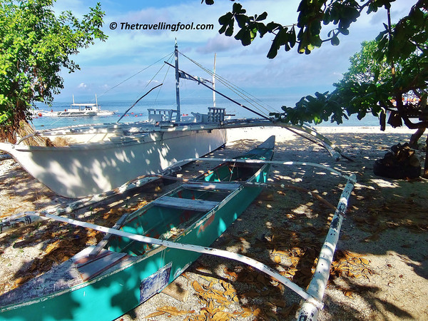 Bohol-Tropical-Island-Boats