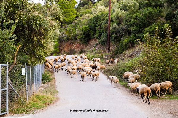 Greece-Country Road