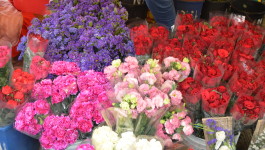 Dangwa Flower Market, Manila Philippines