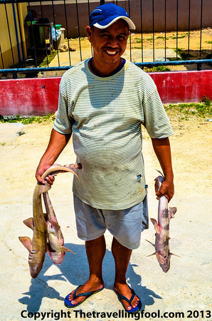 Fisherman with sharks