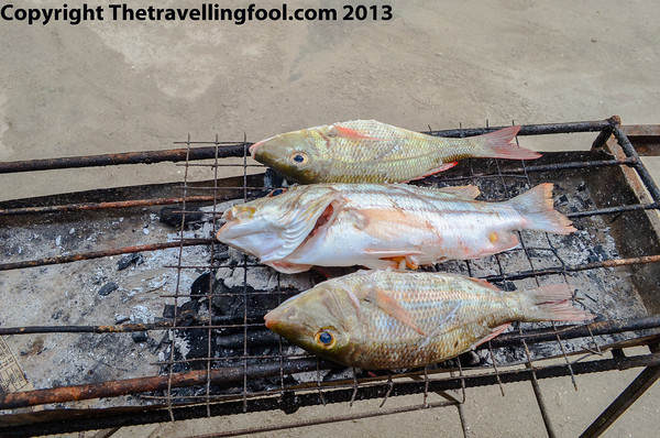 grilling fish