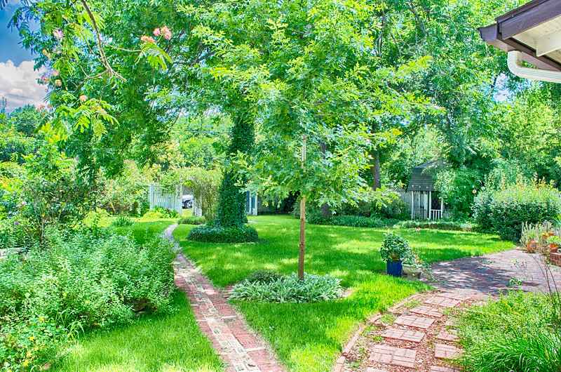 Backyard Garden