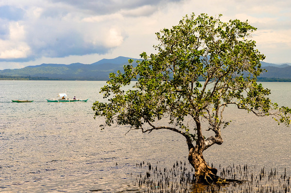 Philippine Fishing Boats