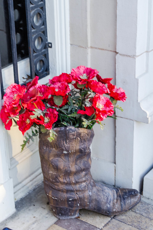Red Poppy